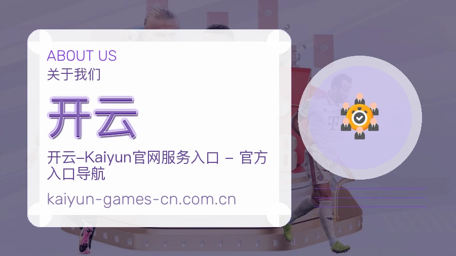 开云团队与工作环境